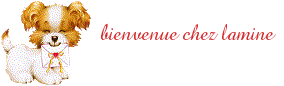 bienvenue