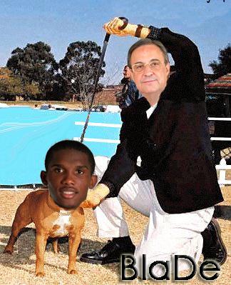 eto'o chien