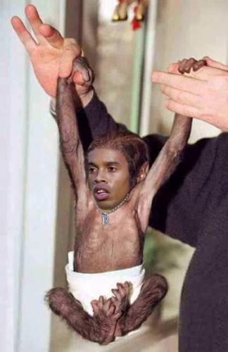 ronalsinge